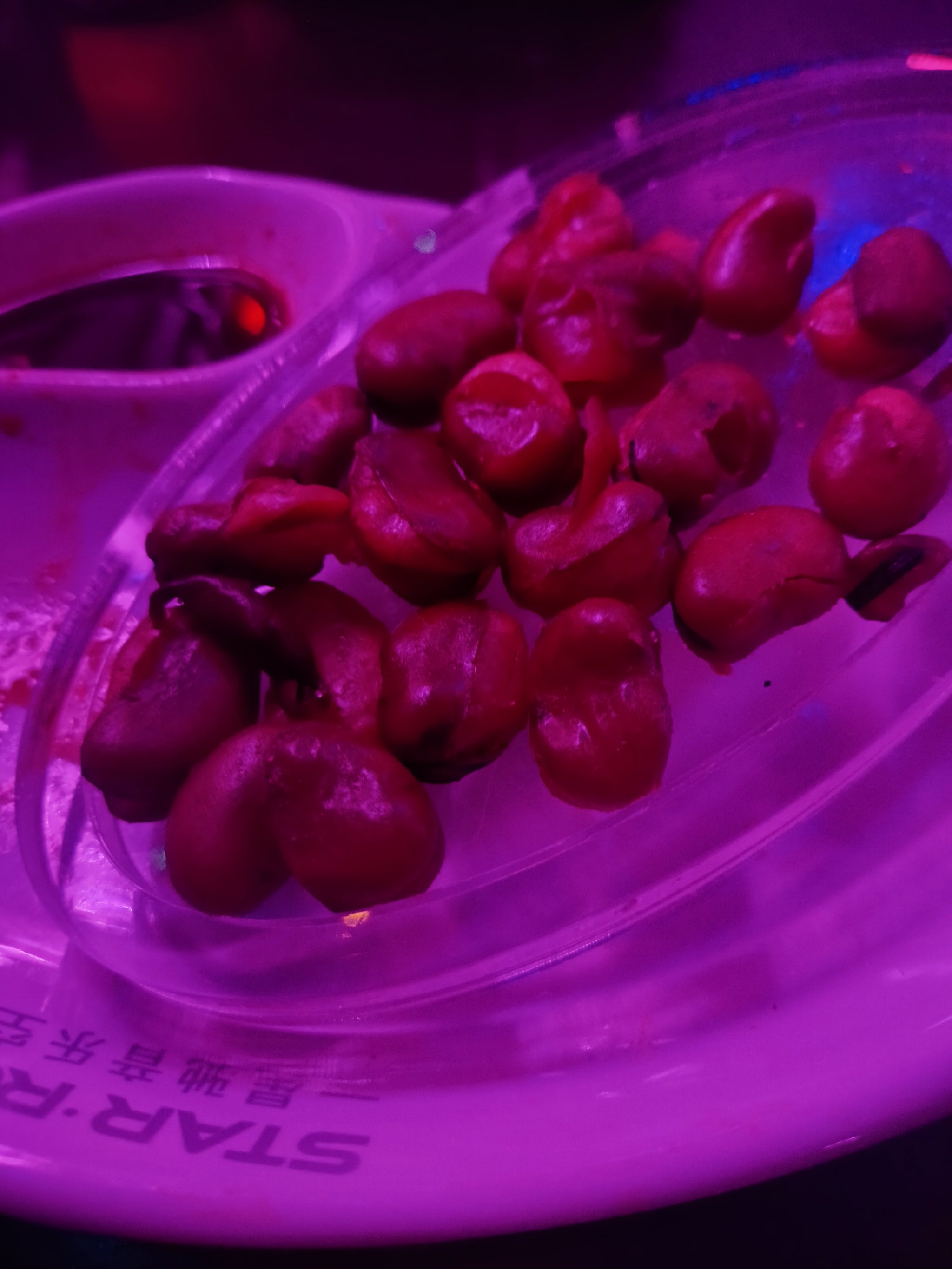 自贡商务ktv环境商务ktv怎么样-大安区ktv预定